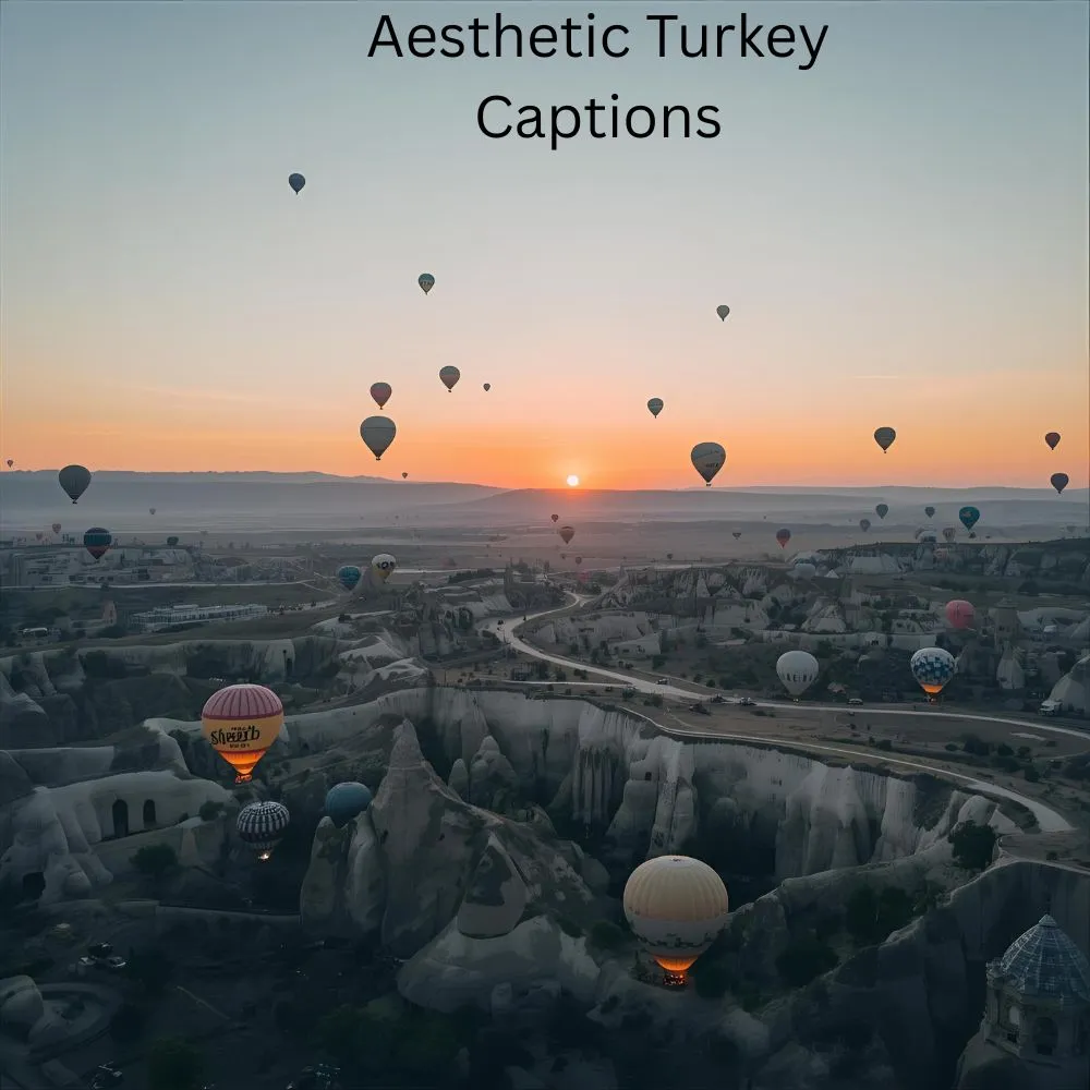 Aesthetic Turkey Captions