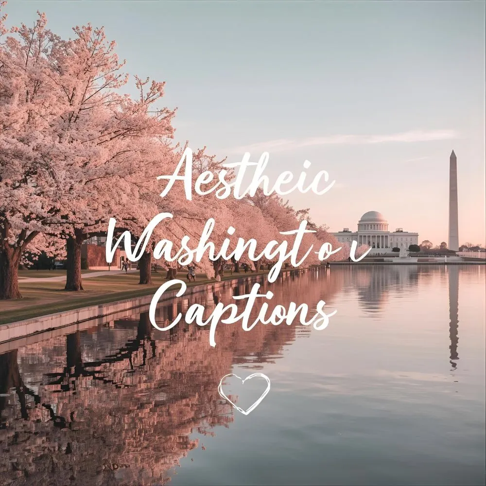 Aesthetic Washington DC Captions