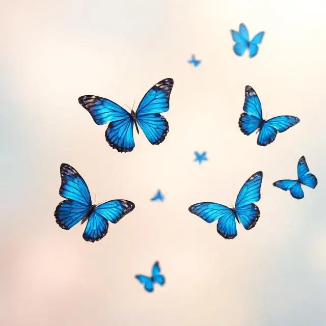 Blue Butterfly Captions