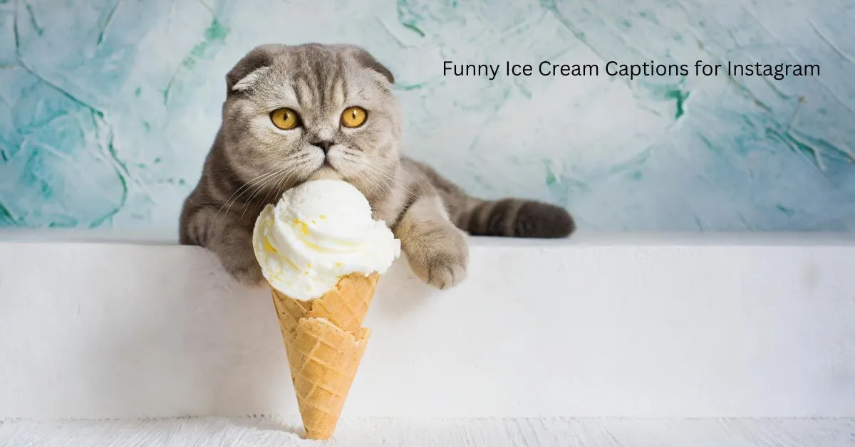 Funny Ice Cream Captions for Instagram