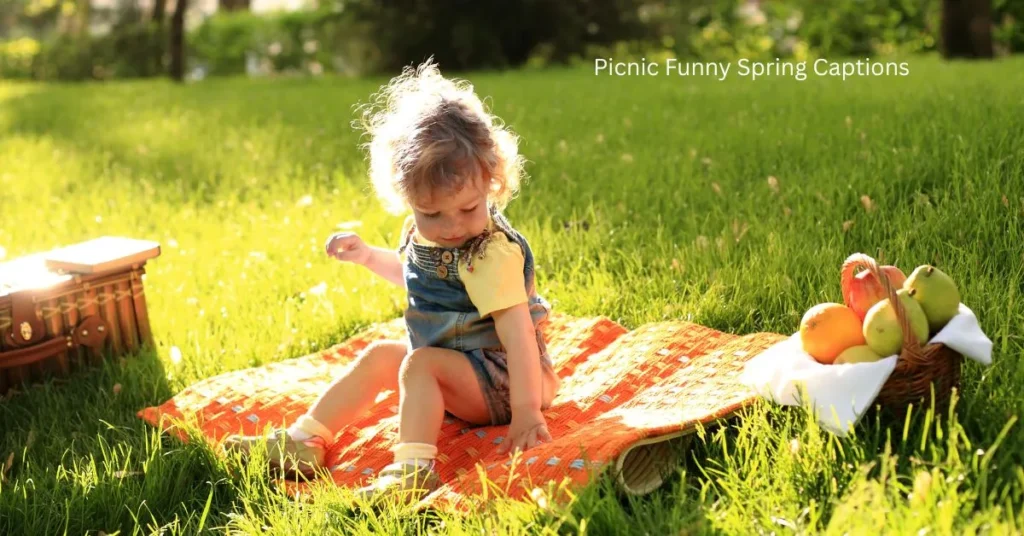 Picnic Funny Spring Captions
