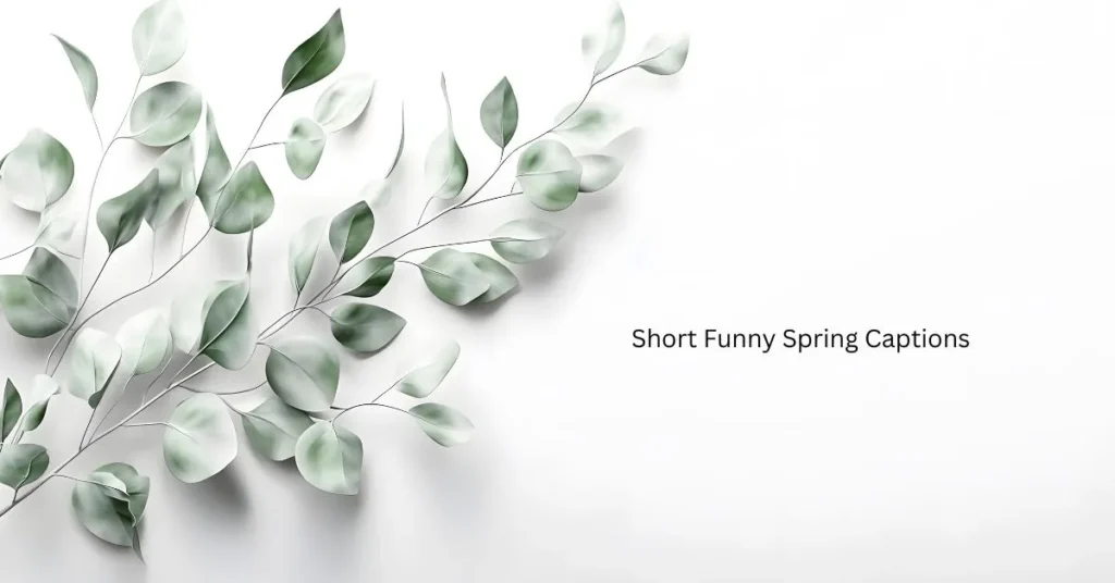 Short Funny Spring Captions