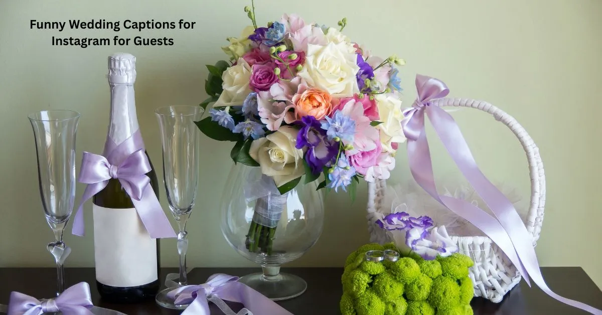 Funny Wedding Captions for Instagram for Guests