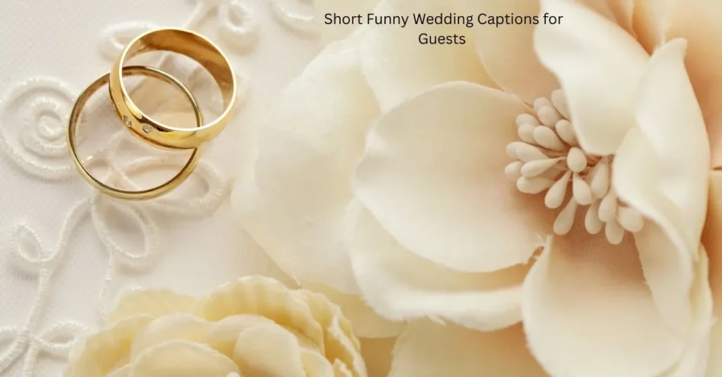 Short Funny Wedding Captions for GuestsΒ